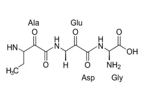 epithalon peptide mechanism telomerase to increase telomere length Epithalon (AEDG) Telomerase & Epigenetic